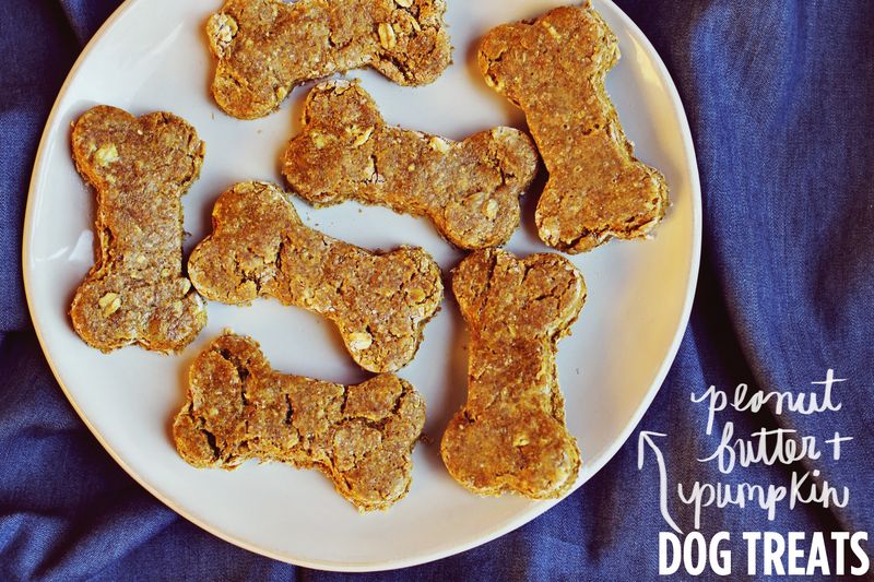 peanut butter pumpkin dog treat recipe