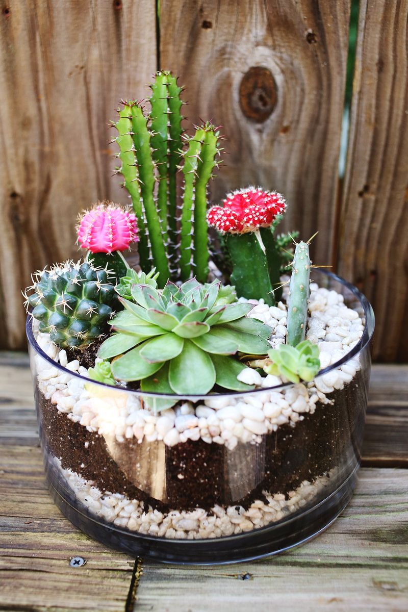 3 Pcs Mini Cute Painted Planter Pot Container for Plant Succulent Bonsai Cactus 