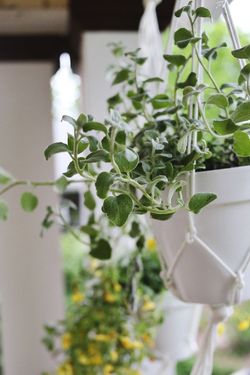 Hanging planters are easy to make!