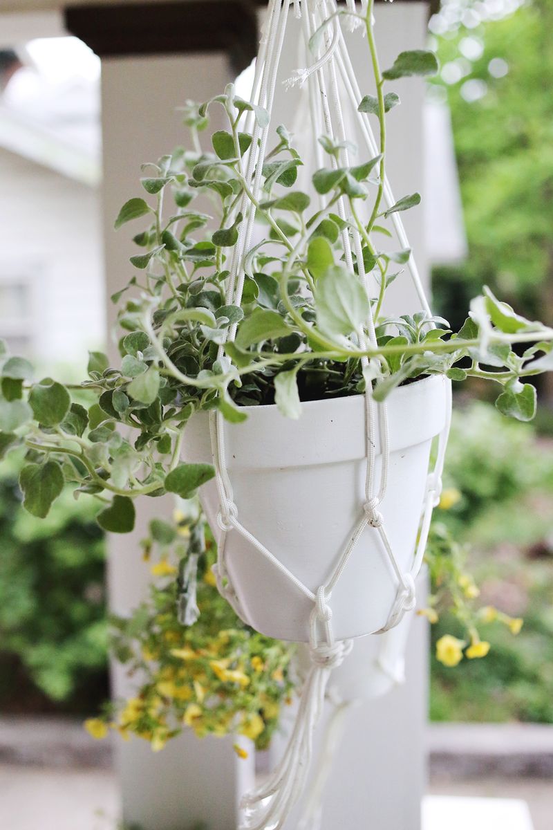 Hanging planters are easy to make! 