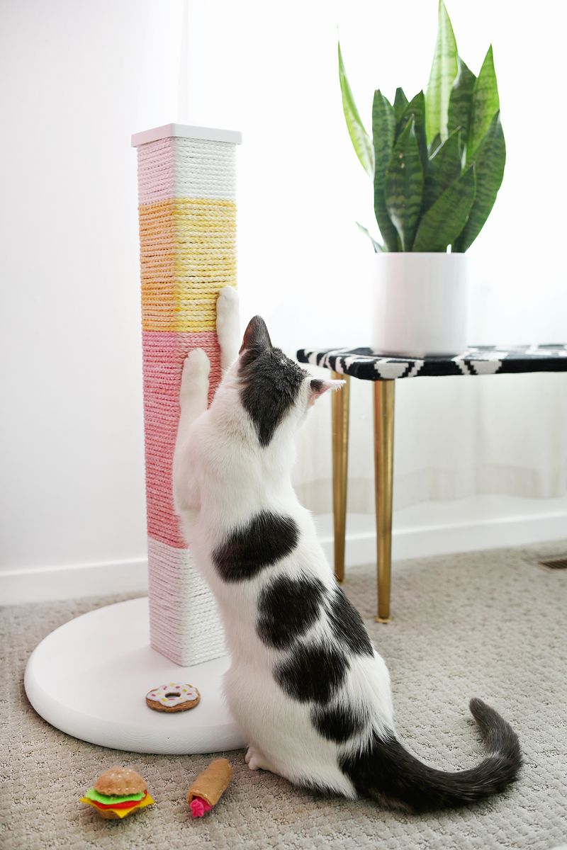 So cute! Color Blocked Scratching Post DIY (click through for tutorial)           