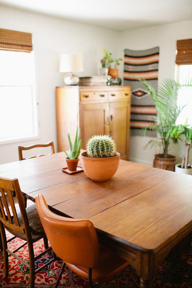 Cactus-dining-table