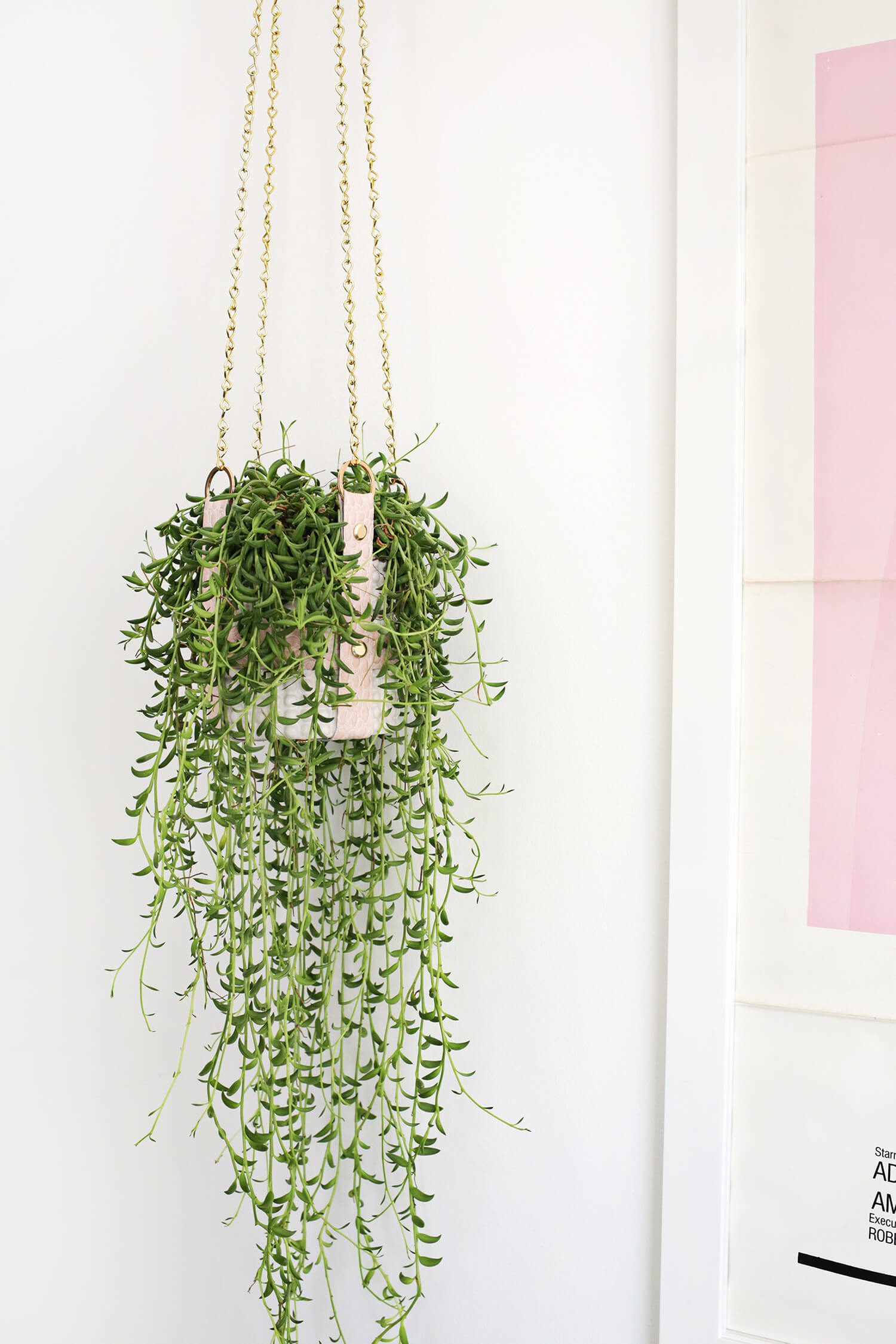 Hanging Leather Strap Planter DIY (click through for tutorial) 