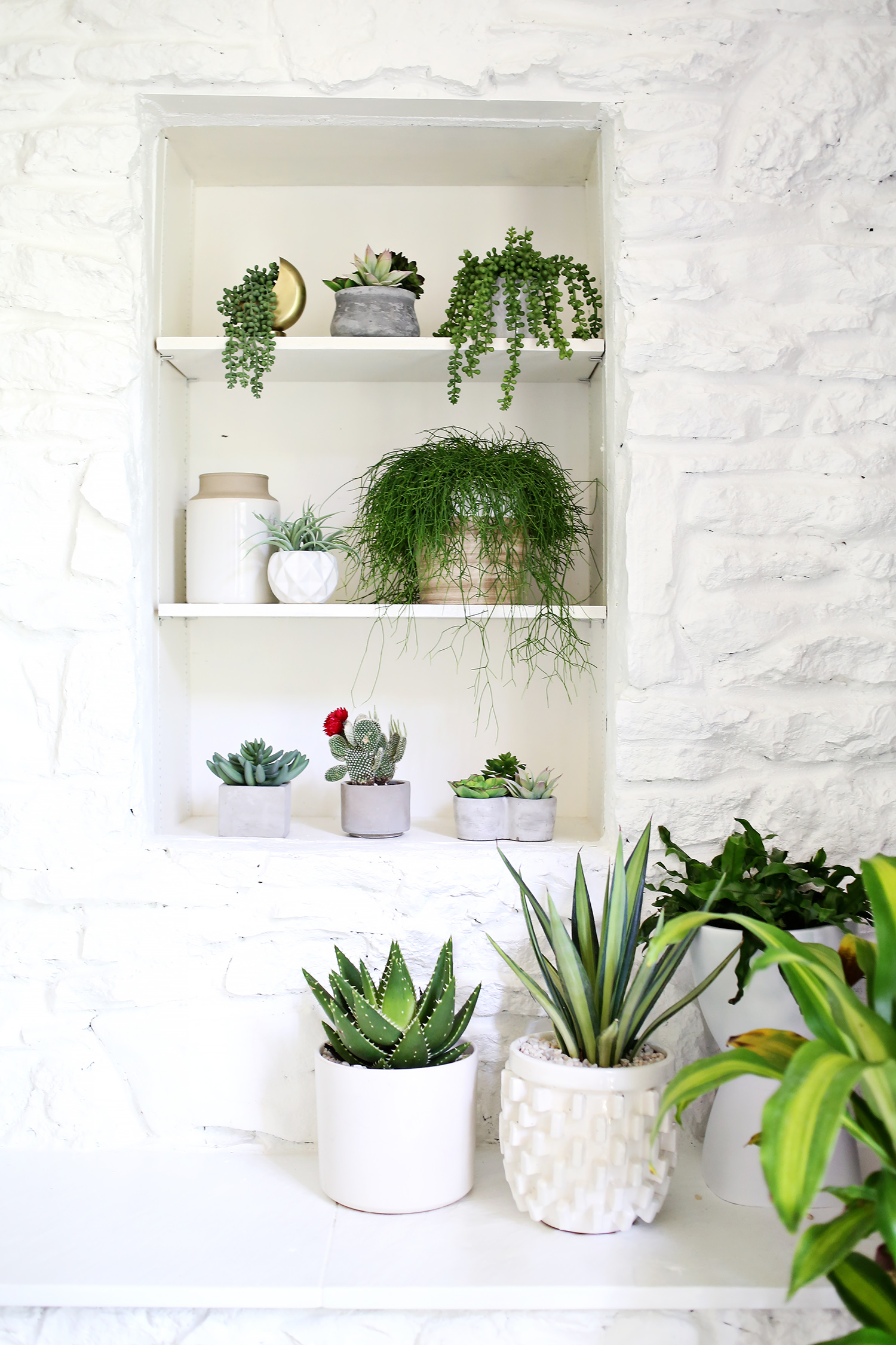 Are you faux real? (How to find convincing fake plants) 