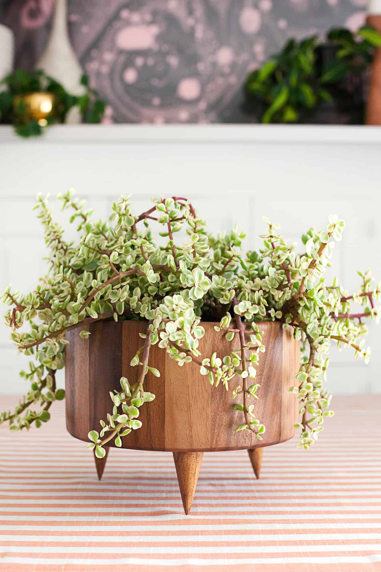6 DIY easy to make plant pots and vases. 