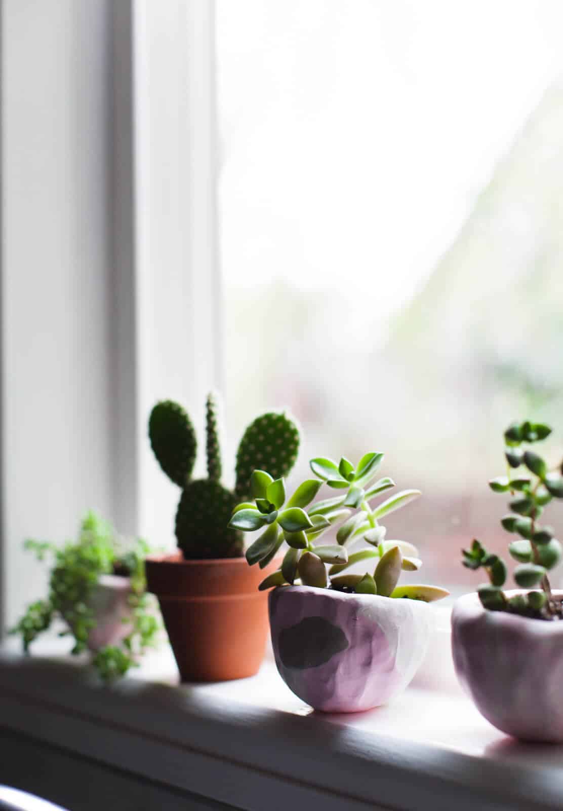 DIY Mini Pinch Pot Planters - A Beautiful Mess