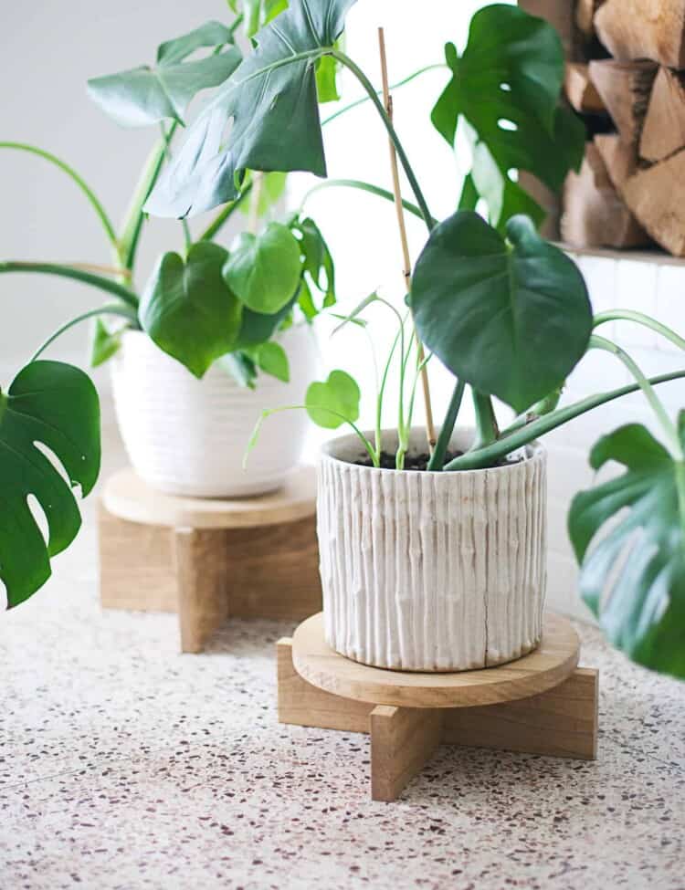 DIY Modern Wood Plant Stand