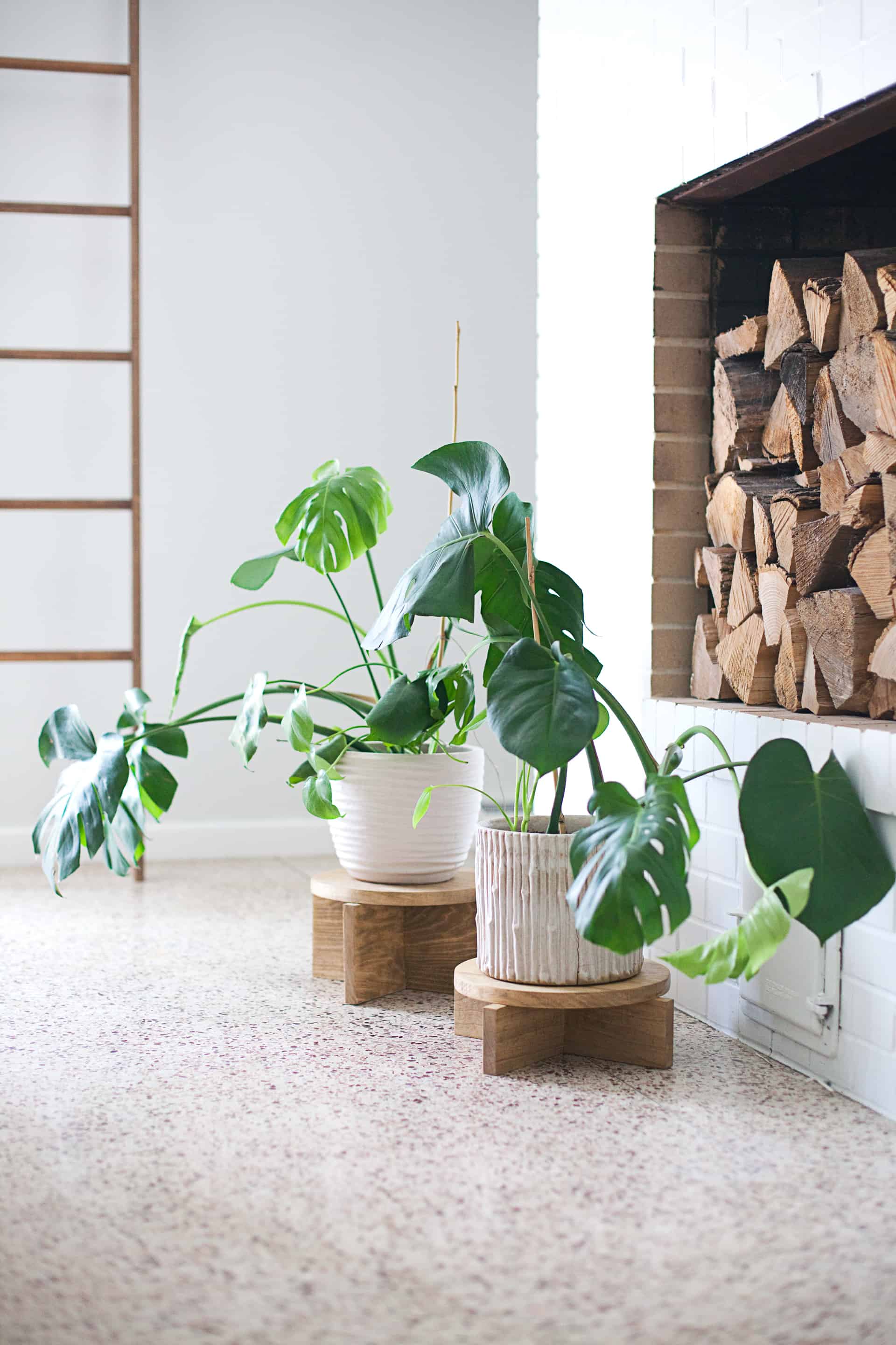 2 potted plants on modern wood plant stands in front of a fireplace