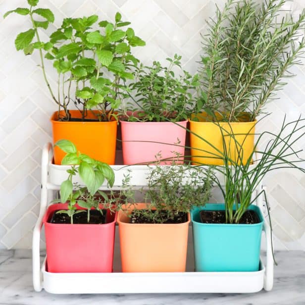 Make-a-Colorful-Indoor-Herb-Garden-click-through-for-tutorial_