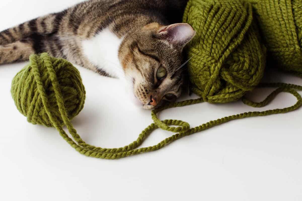 a cat laying next to 3 balls of green yarn