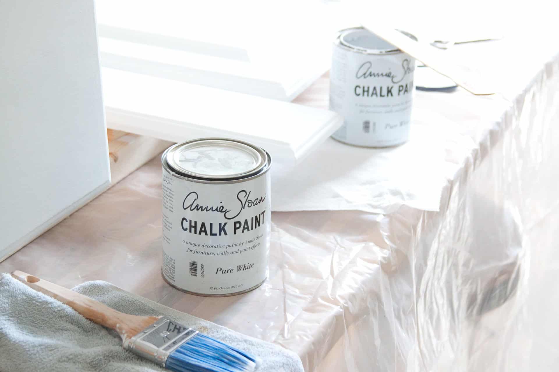 2 cans of Annie Sloan chalk paint with paintbrushes