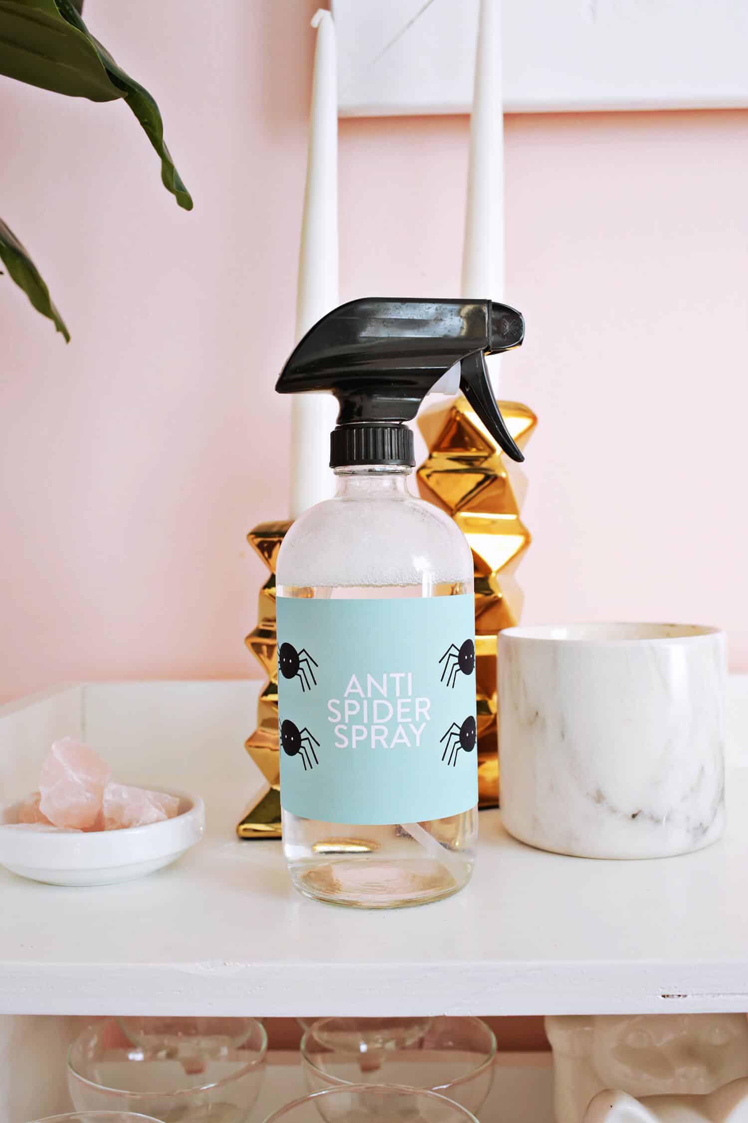 Anti Spider Spray Essential Oil Based A Beautiful Mess