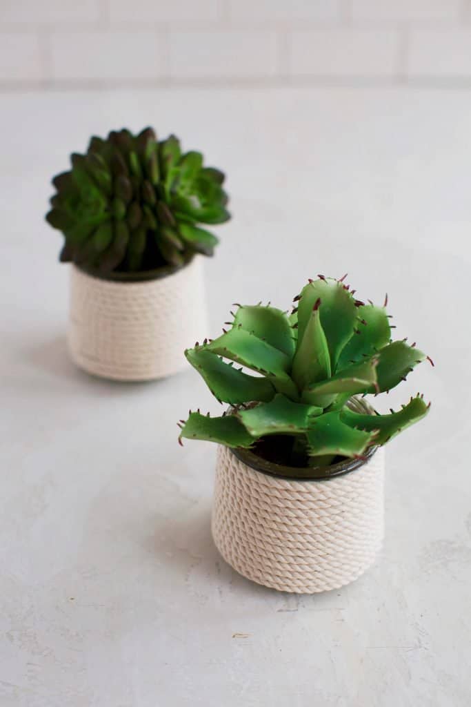 5 Easy DIY Glass Planters A Beautiful Mess