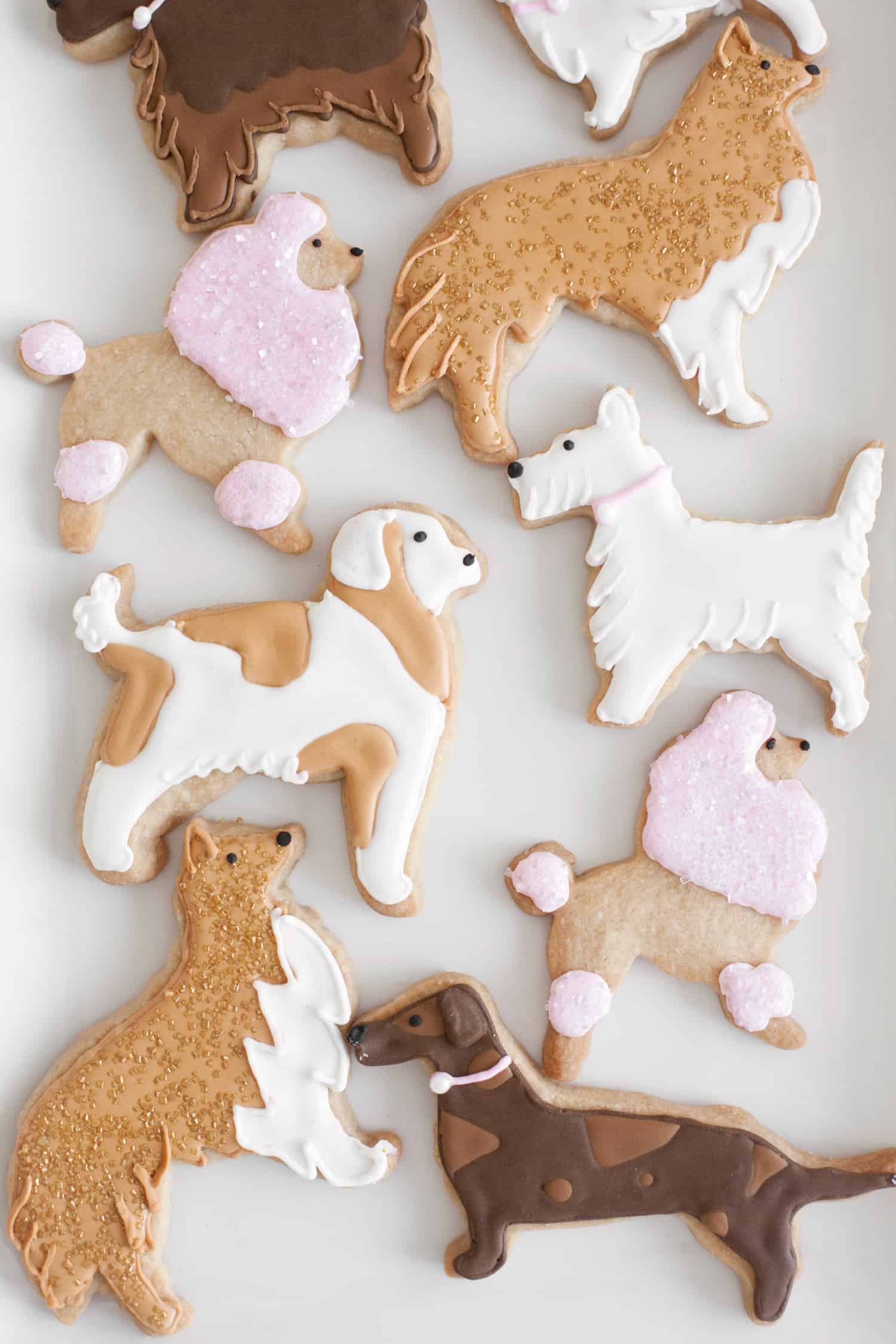 dog cut-out cookies
