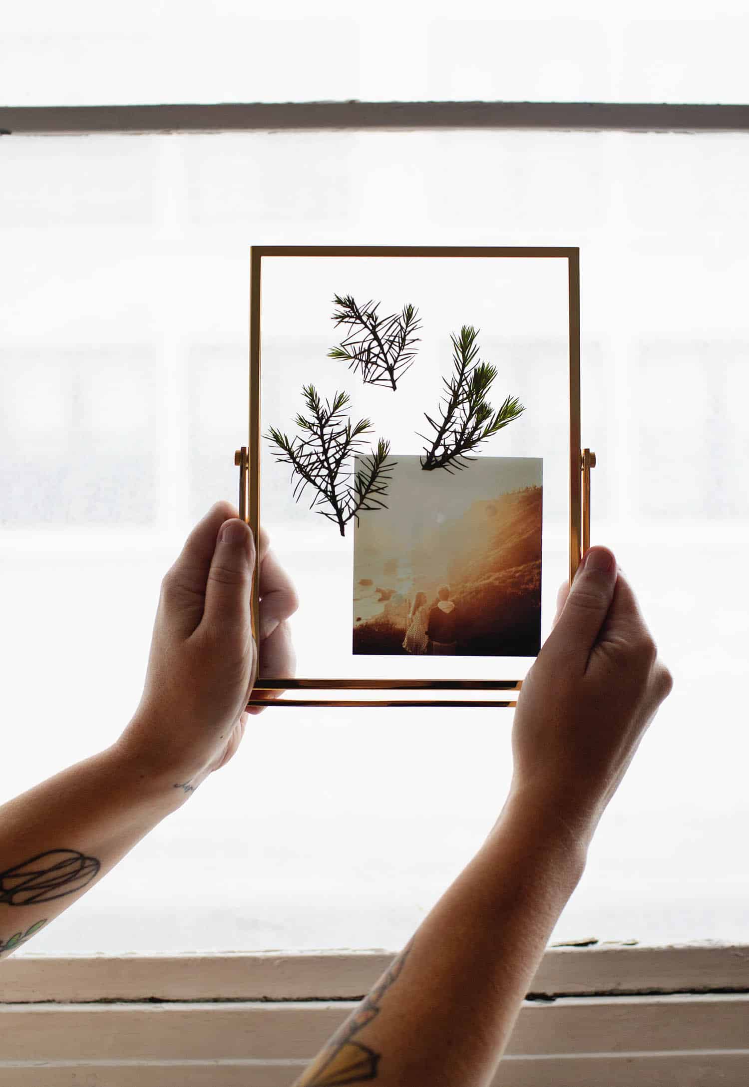 How to Transfer a Photo to Wood - A Beautiful Mess