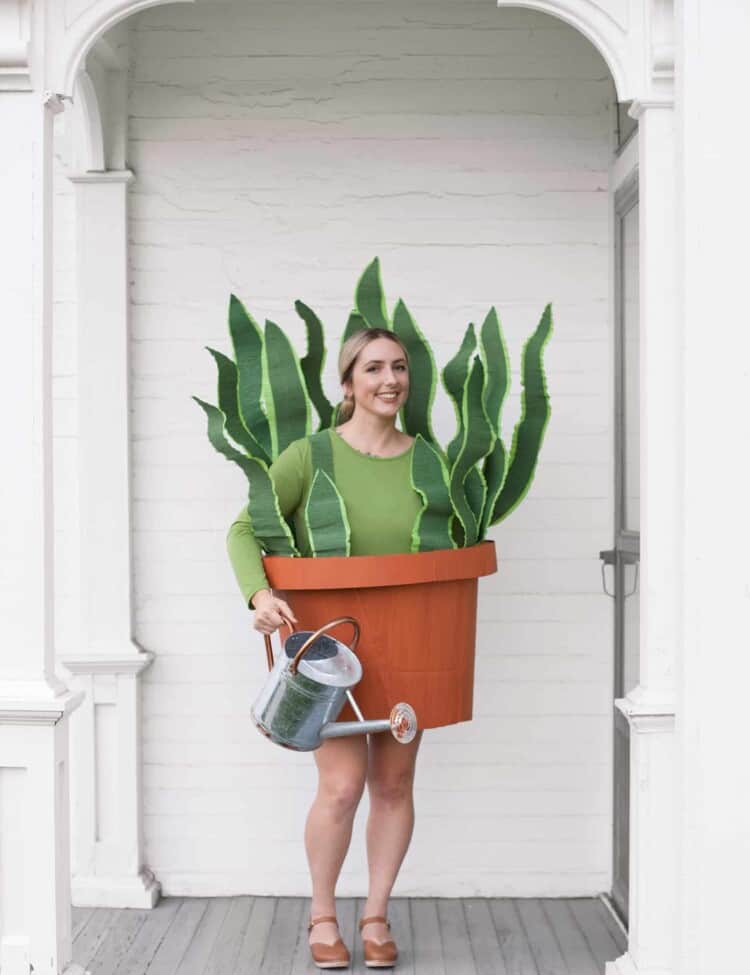 House Plant Costume Made from a Cardboard Box!