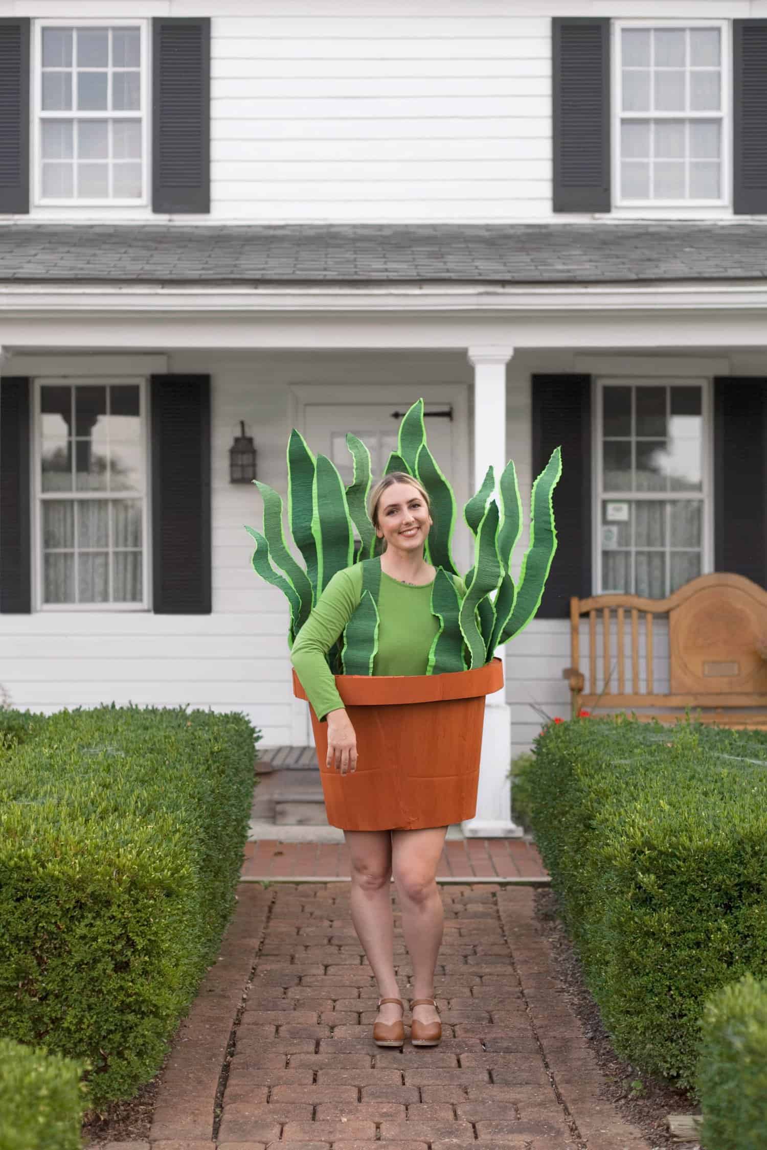 House Plant Costume Made from a Cardboard Box!