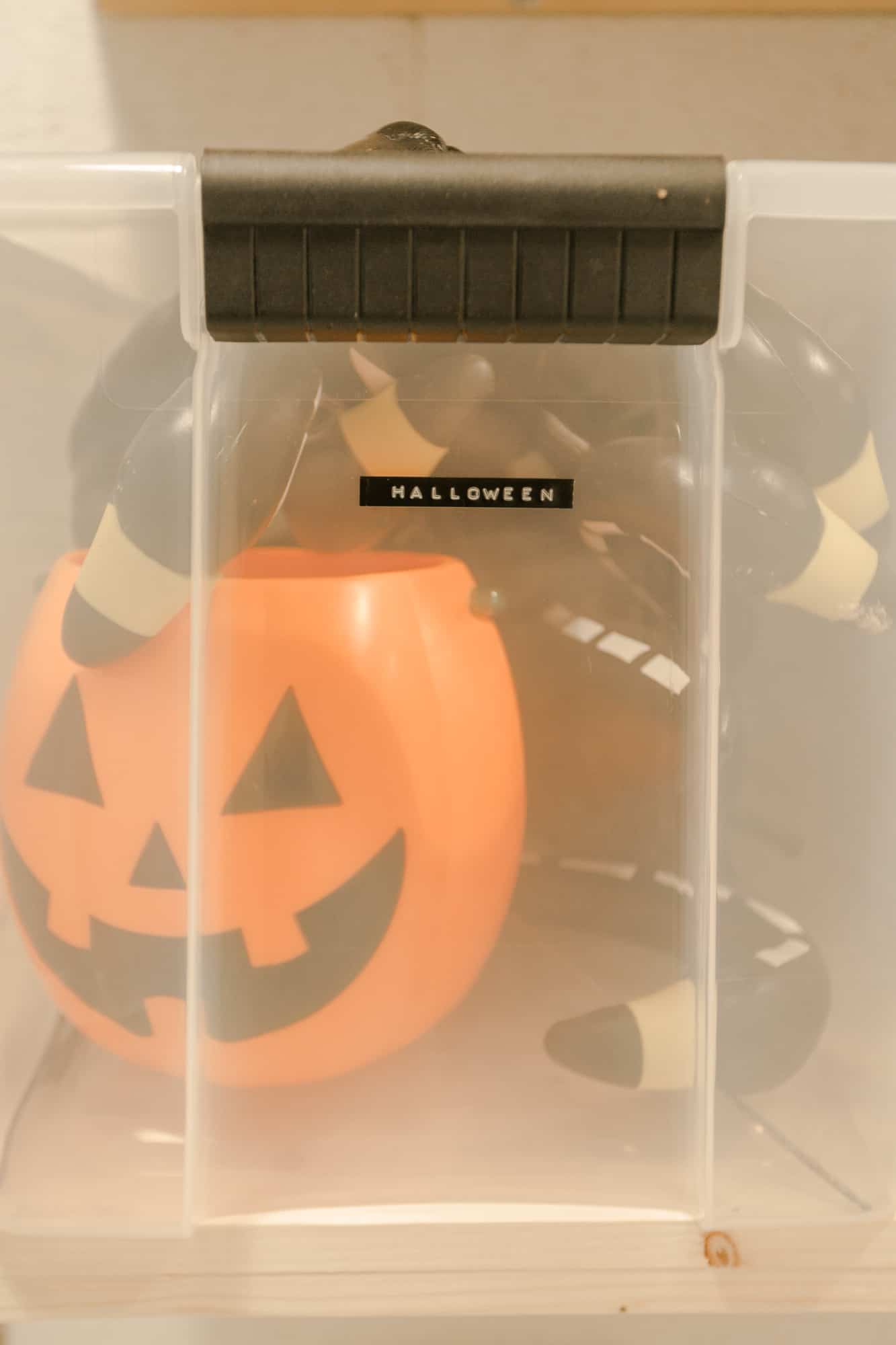 clear bin with a black label that says halloween