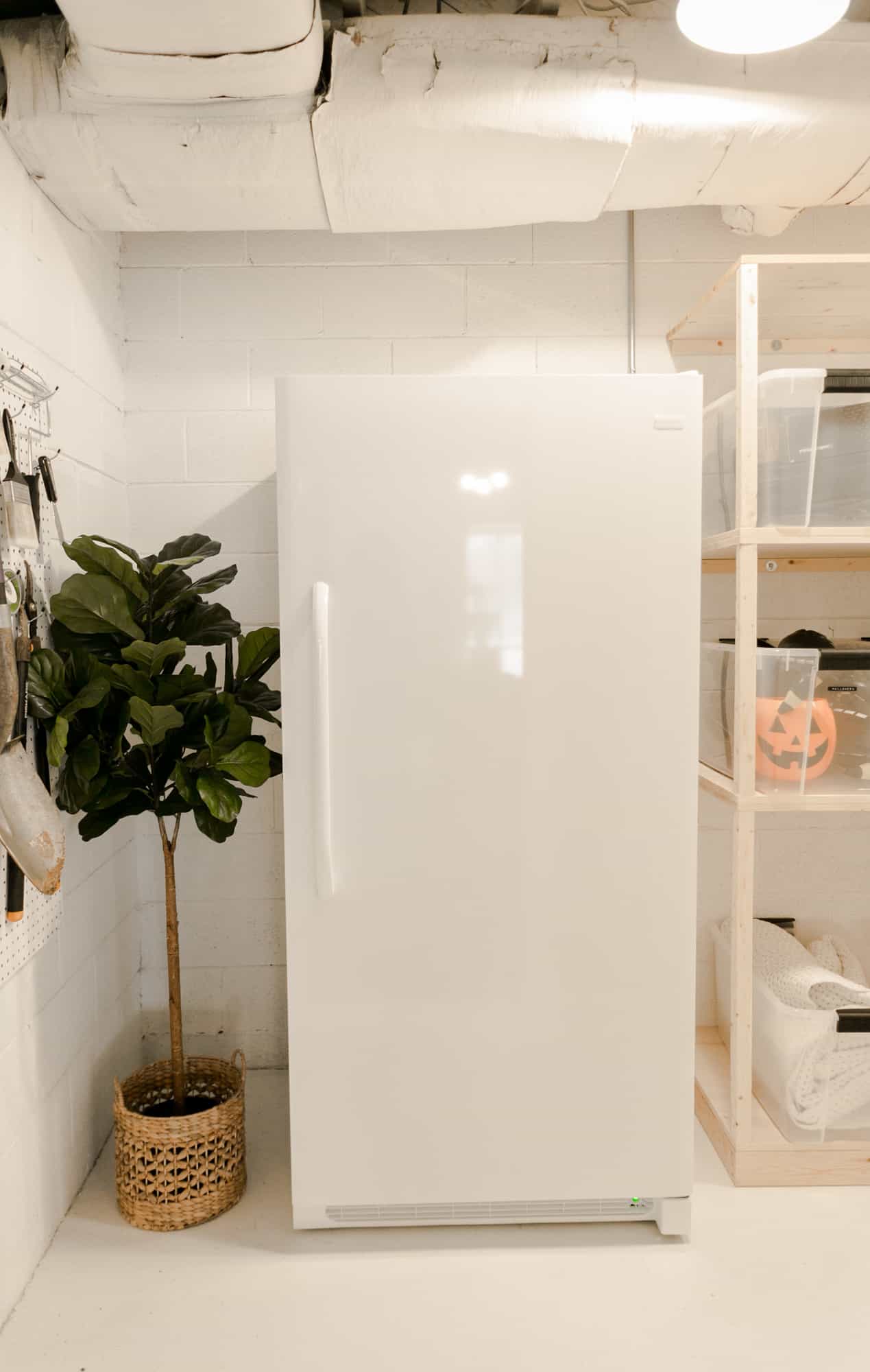 a white fridge by the shelves of clear bins with a potted plant next to it