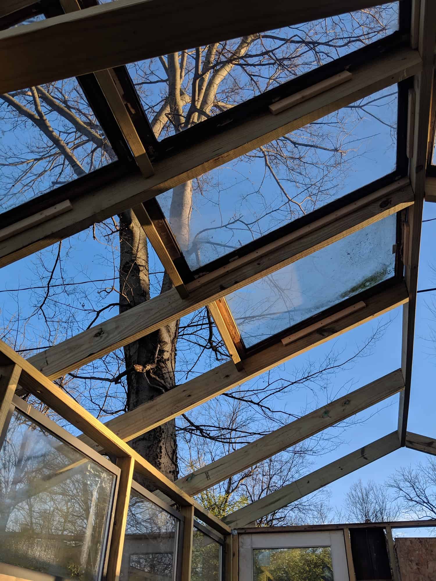 view of ceiling of greenhouse from inside wooden frame