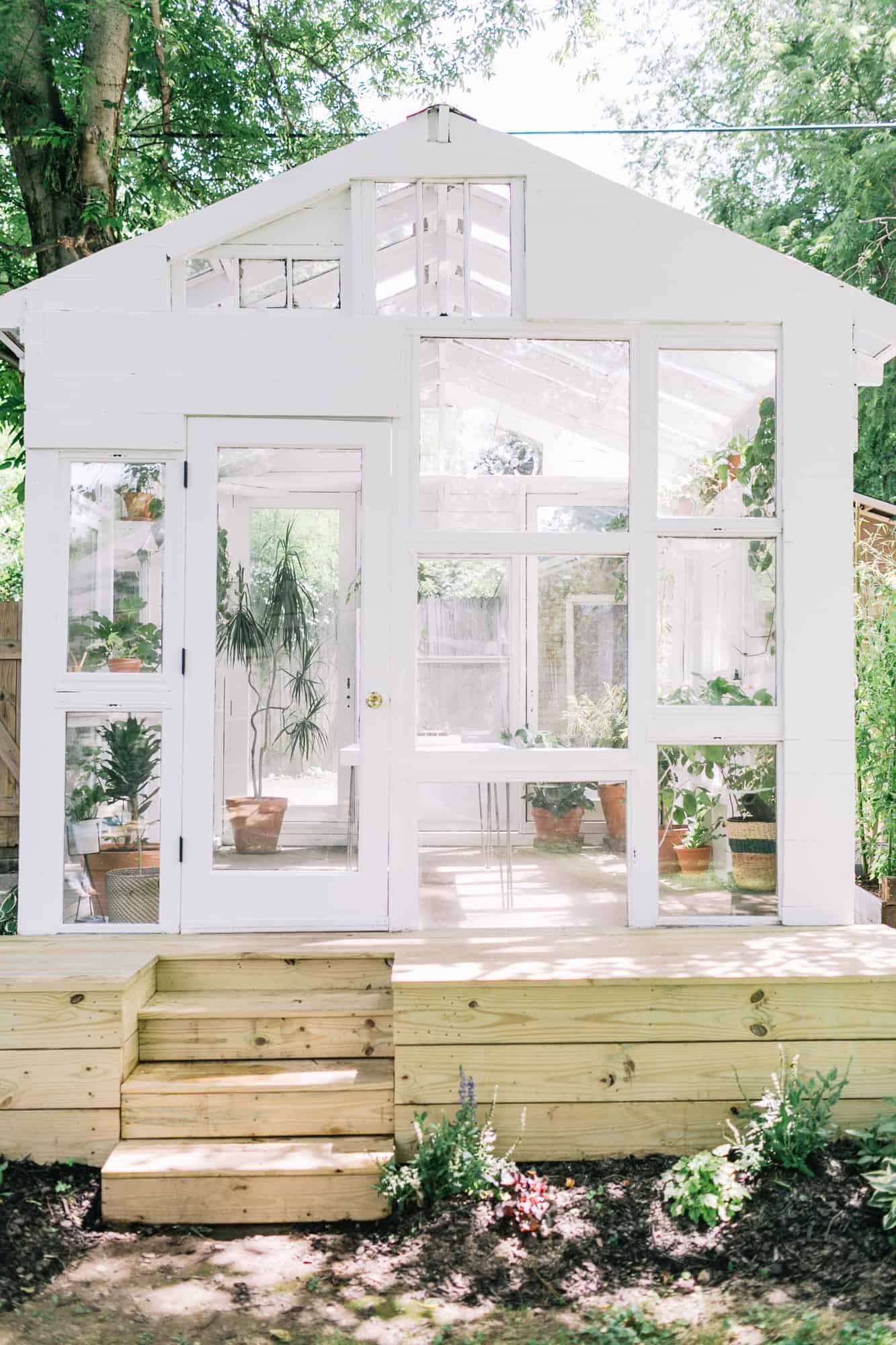 wooden frame of greenhouse painted white with windows and doors in it and wooden stairs leading up to it