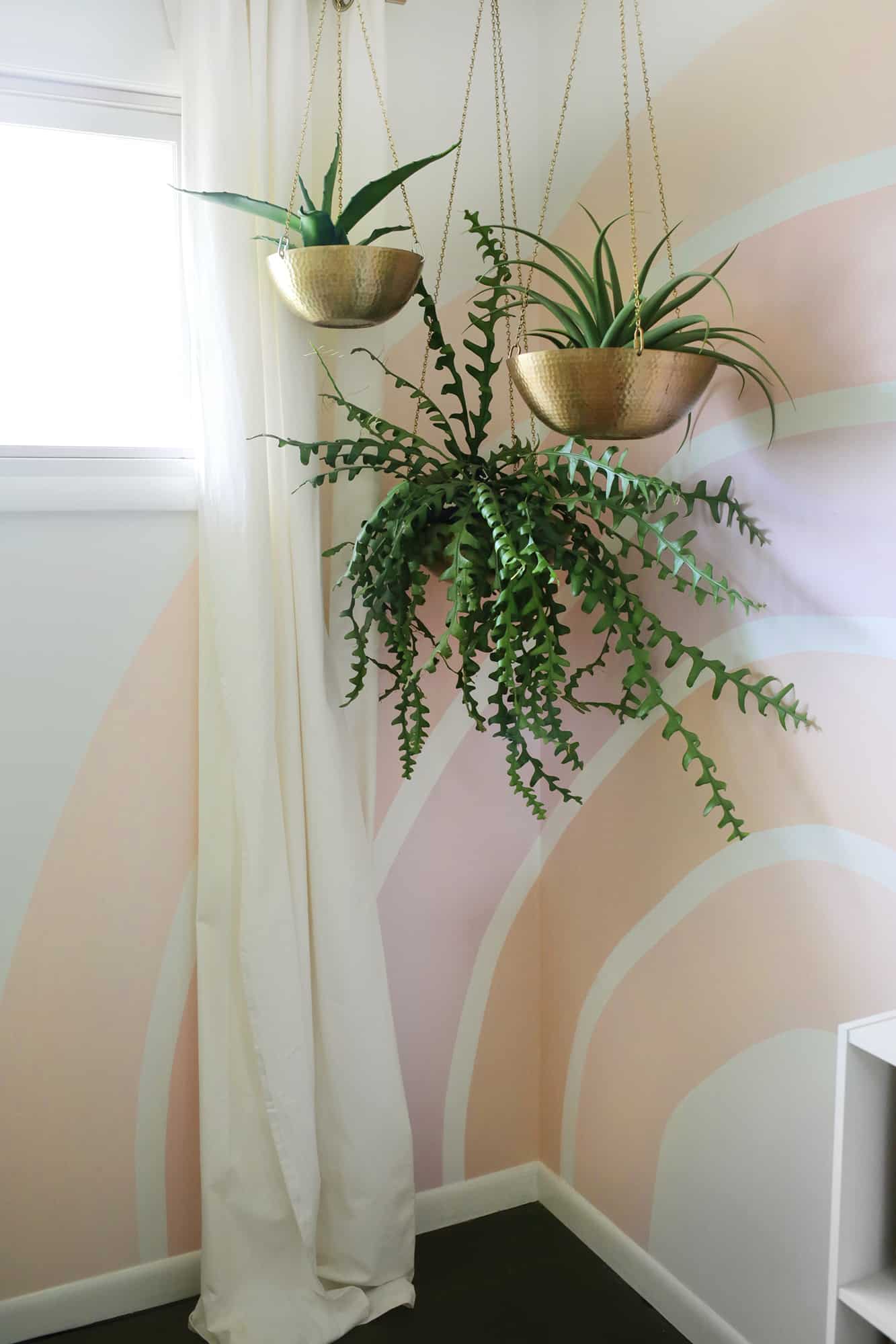 plants hanging in front of rainbow painted on wall