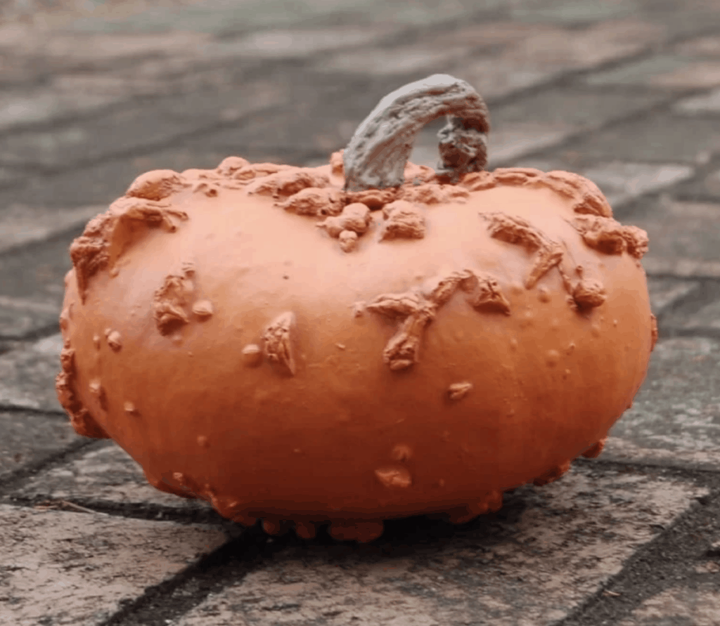 imitation pumpkin