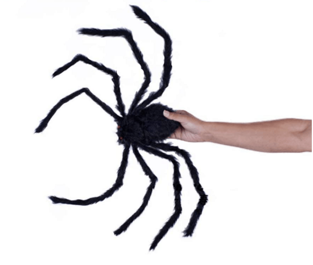 giant hairy spider