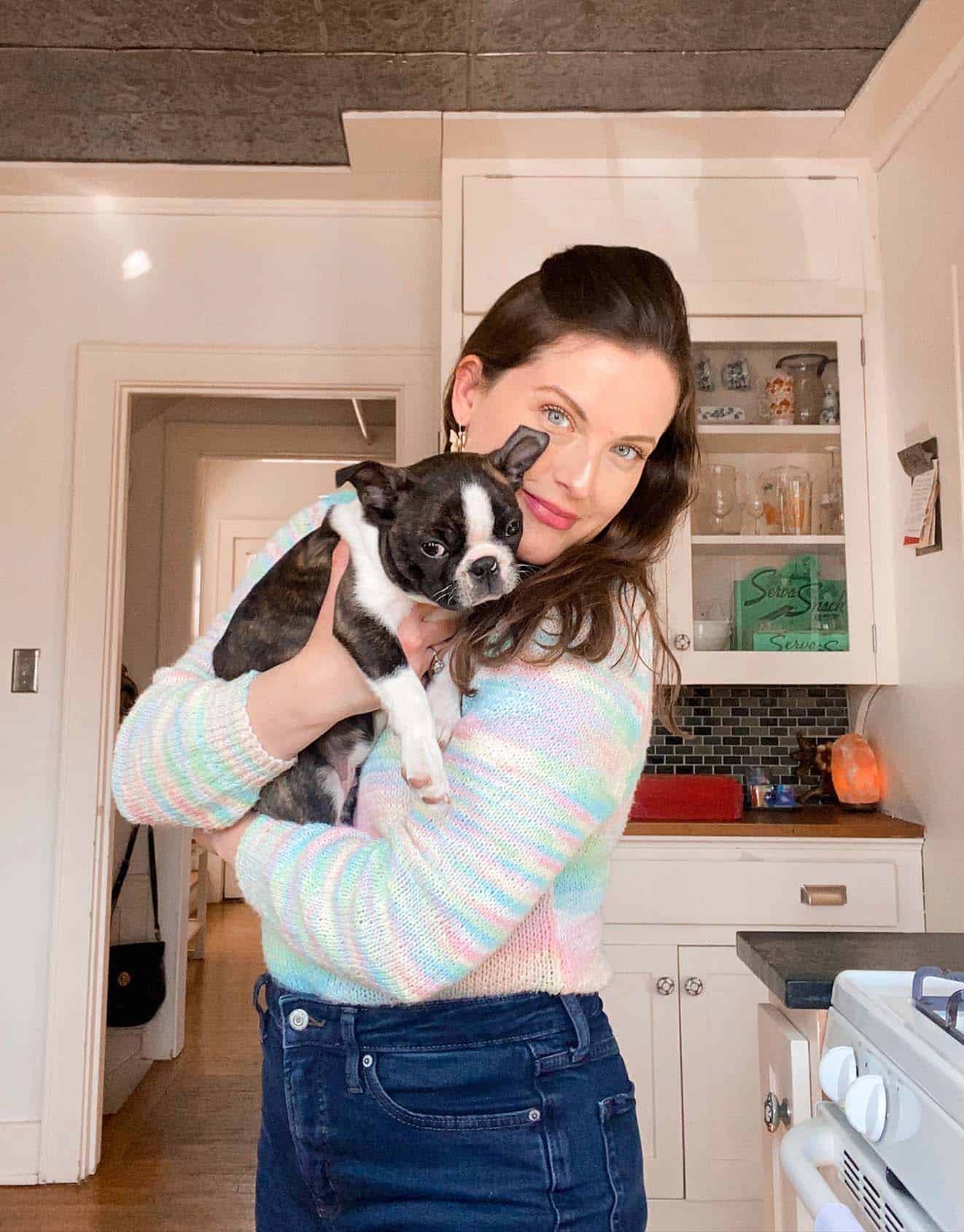 Girl holding a Boston terrier puppy
