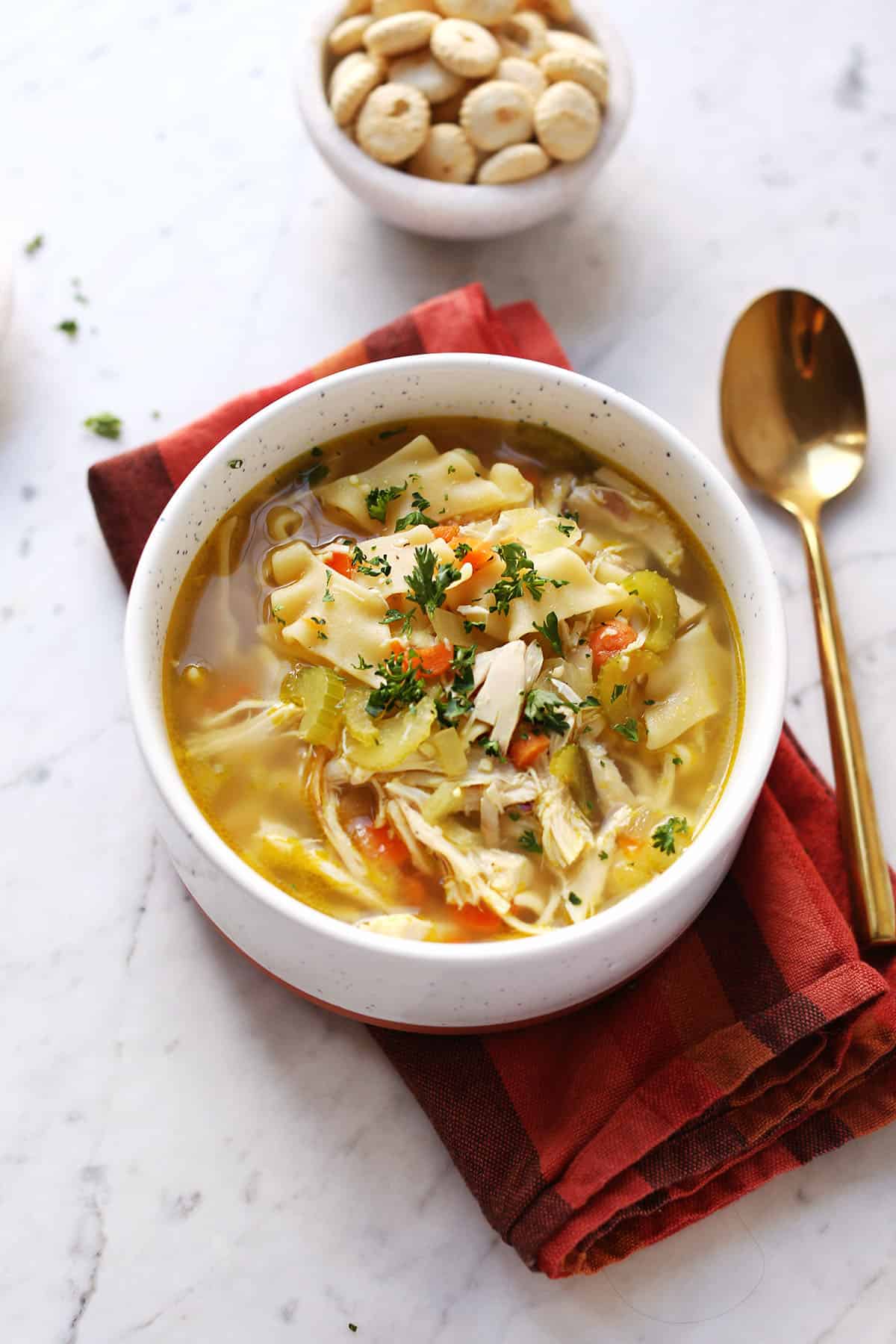 bowl of rotisserie chicken noodle soup