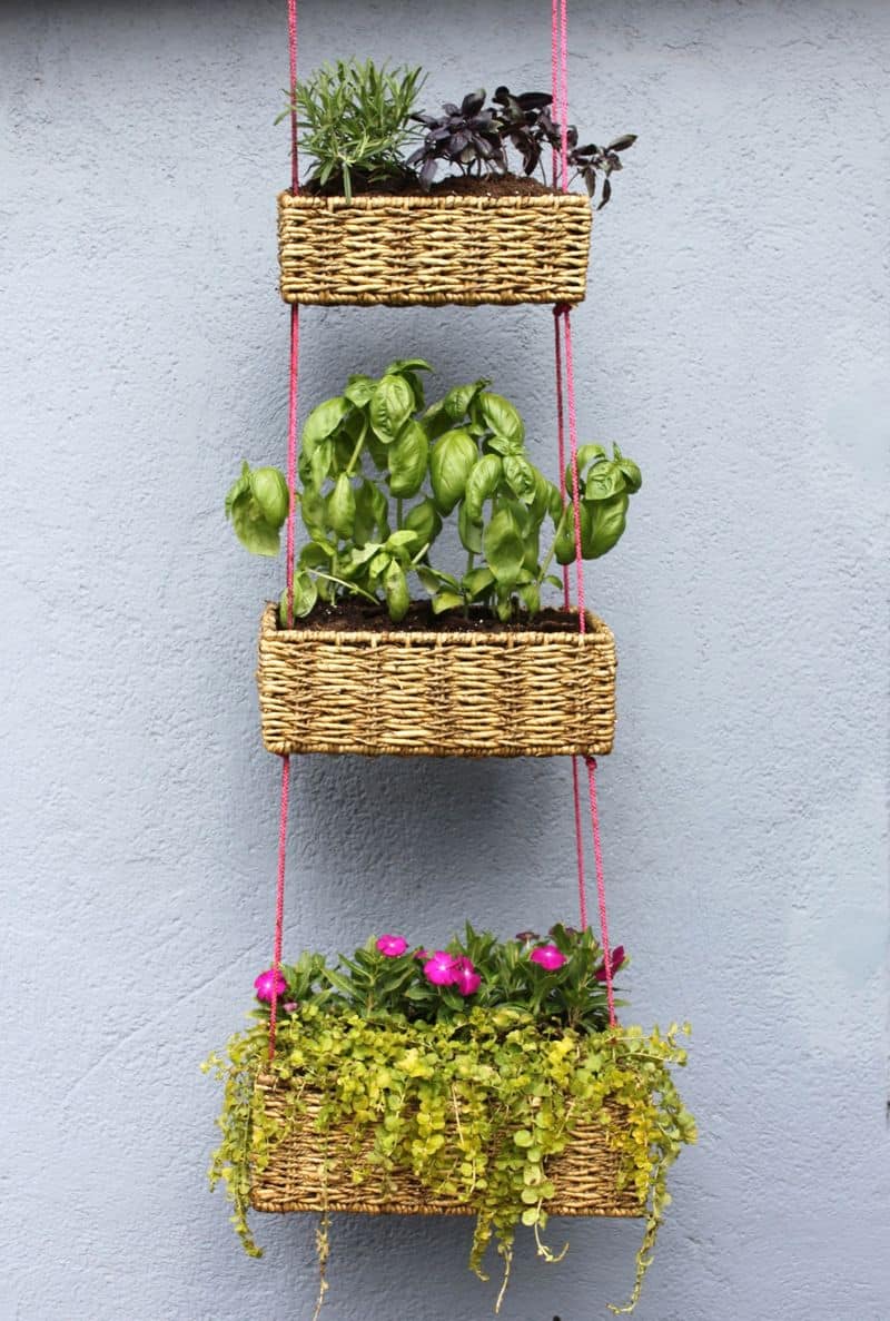 baskets hanging with rope with plants in them. 