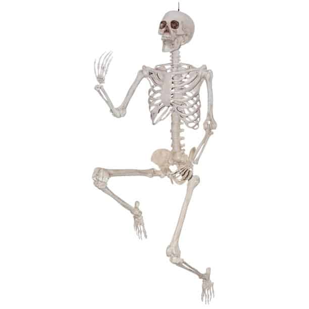 poseable skeleton