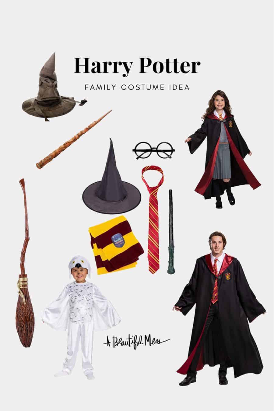 Family halloween costume ideas from Harry Potter