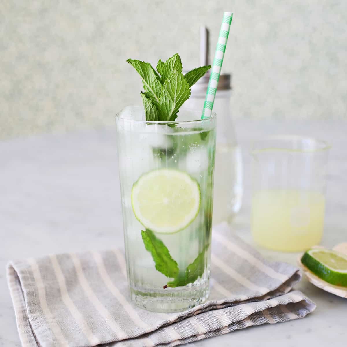 Virgin Mojito  Lime-Mint Spritzer - Our Best Bites