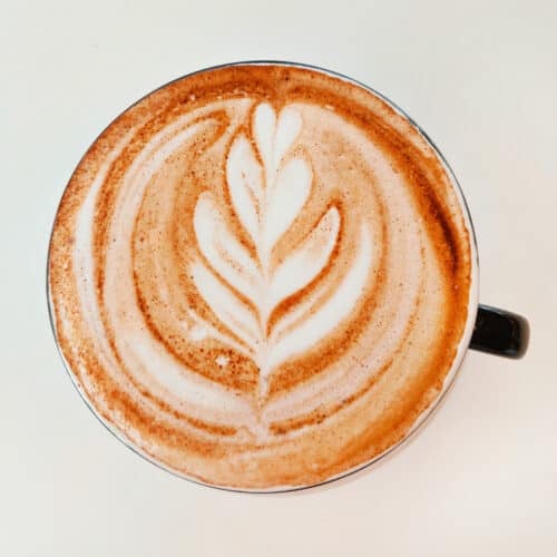 https://abeautifulmess.com/wp-content/uploads/2023/05/latte-500x500.jpg