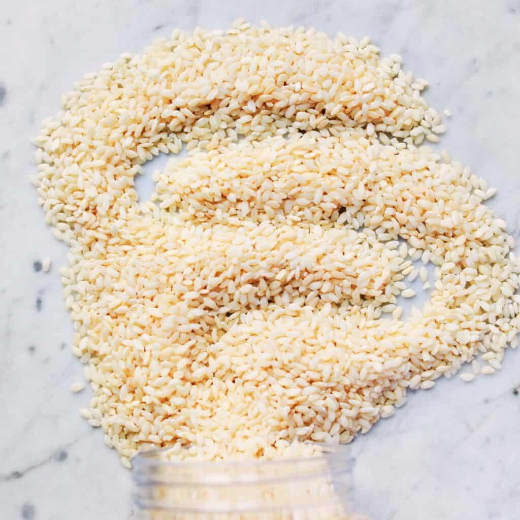 Roseto Rice Risotto - A Beautiful Mess