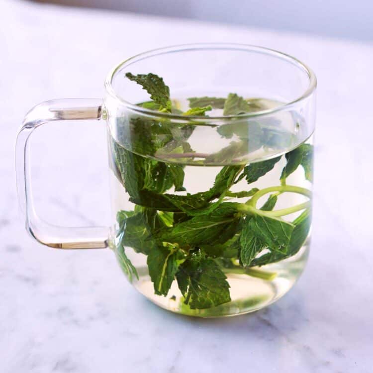 Fresh Mint Tea - A Beautiful Mess