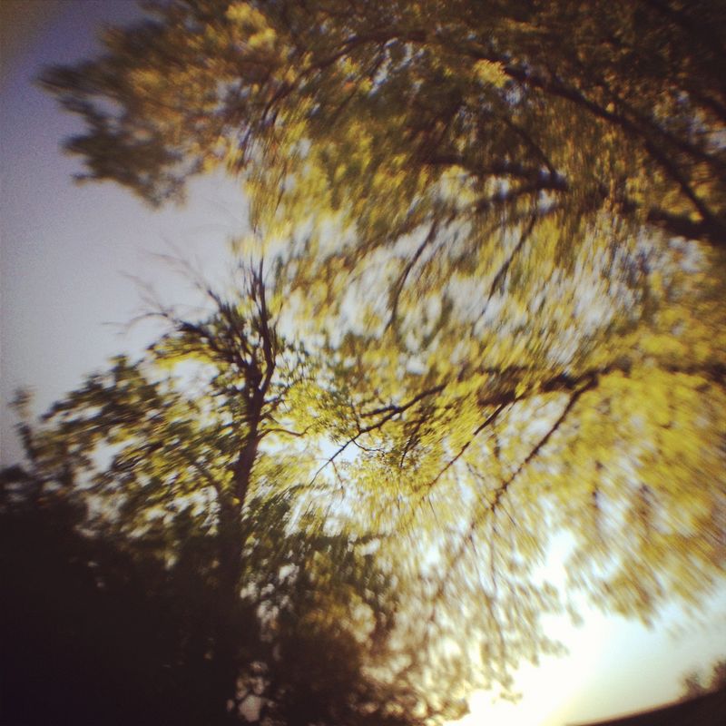Playing with a Jelly Lens Set - A Beautiful Mess