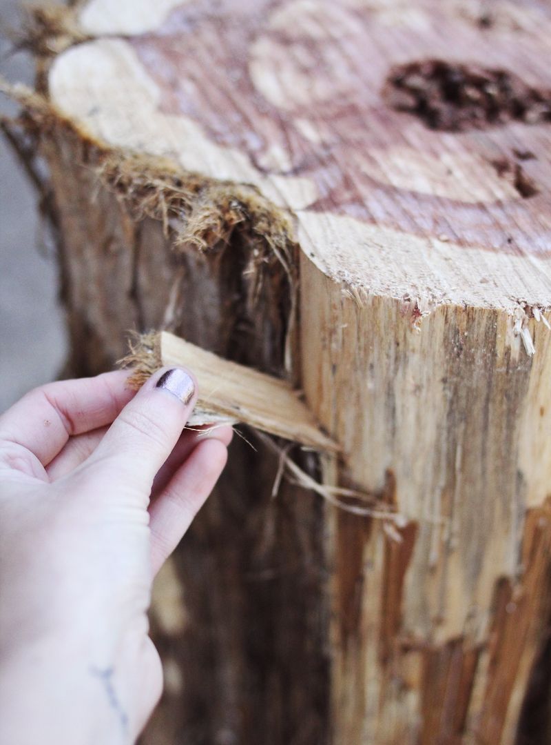 How to get bark off a tree stump
