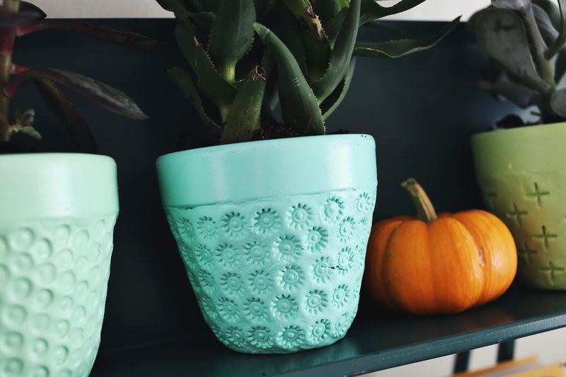 Try This- make a textured planted with a terra cotta pot and paper clay! 