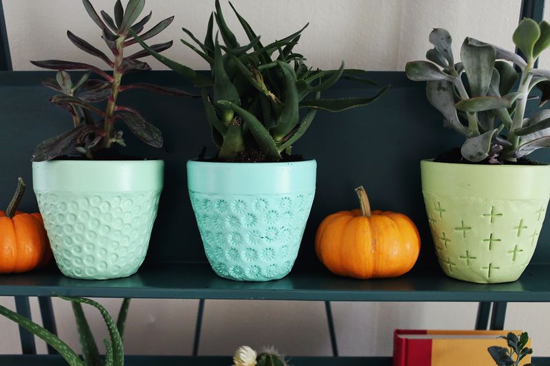 Try This- make a textured planted with a terra cotta pot and paper clay! 