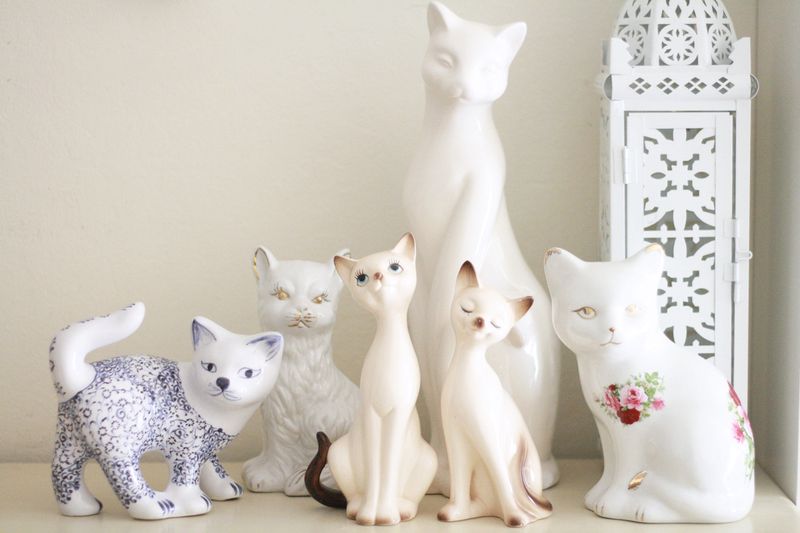 Cute kitty collection