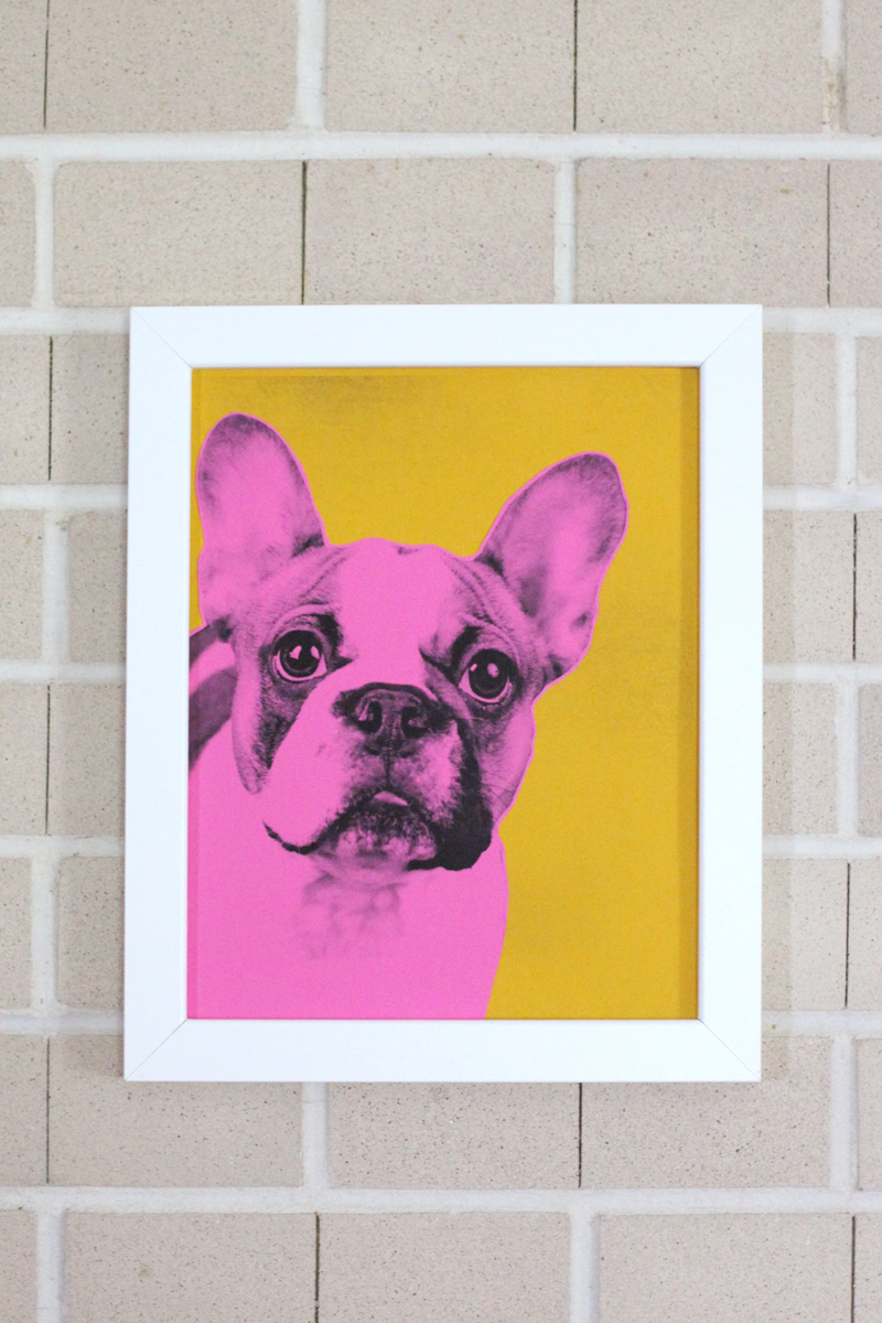 Pop Art Pet Portraits— Inspired by Andy Warhol and easy to make!