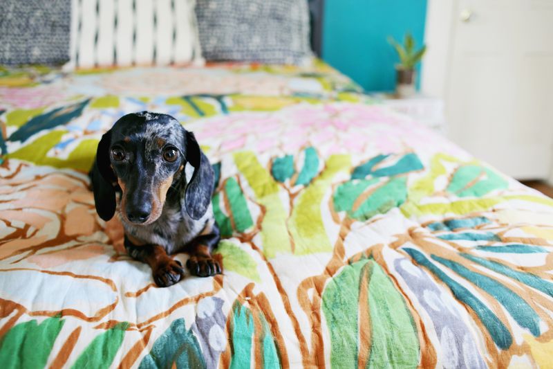 A Bright Bedroom Update! via A Beautiful Mess         