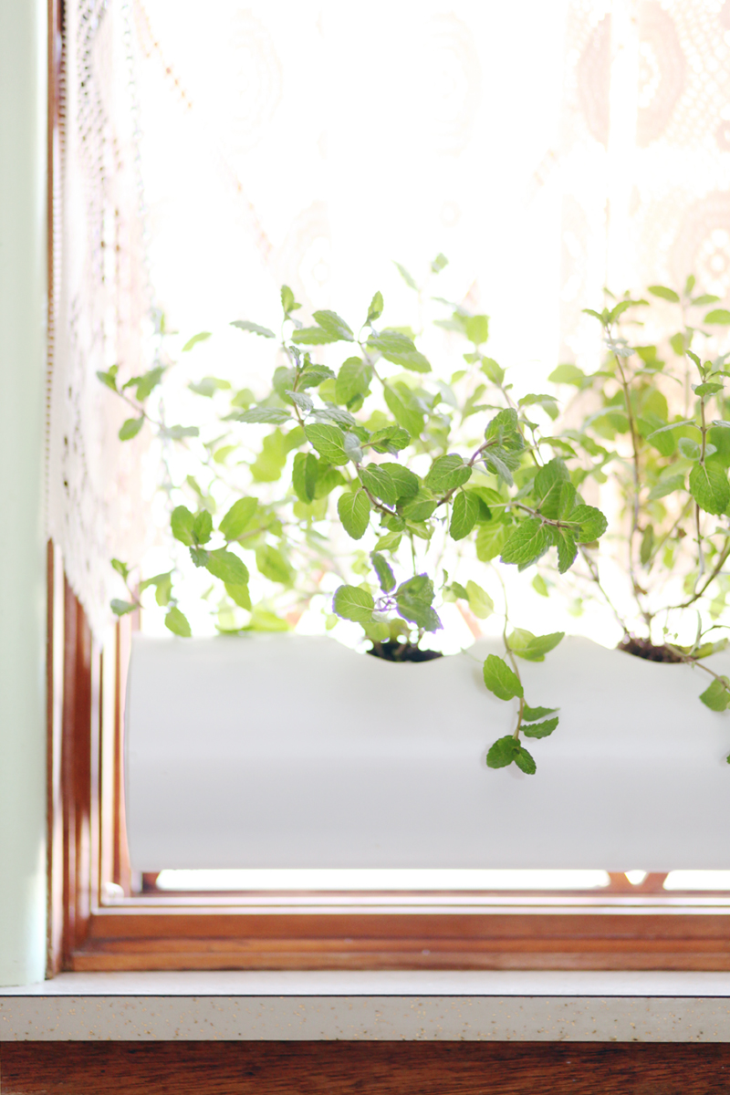 Make this floating PVC planter for growing herbs in your window- Supplies cost less than $10!