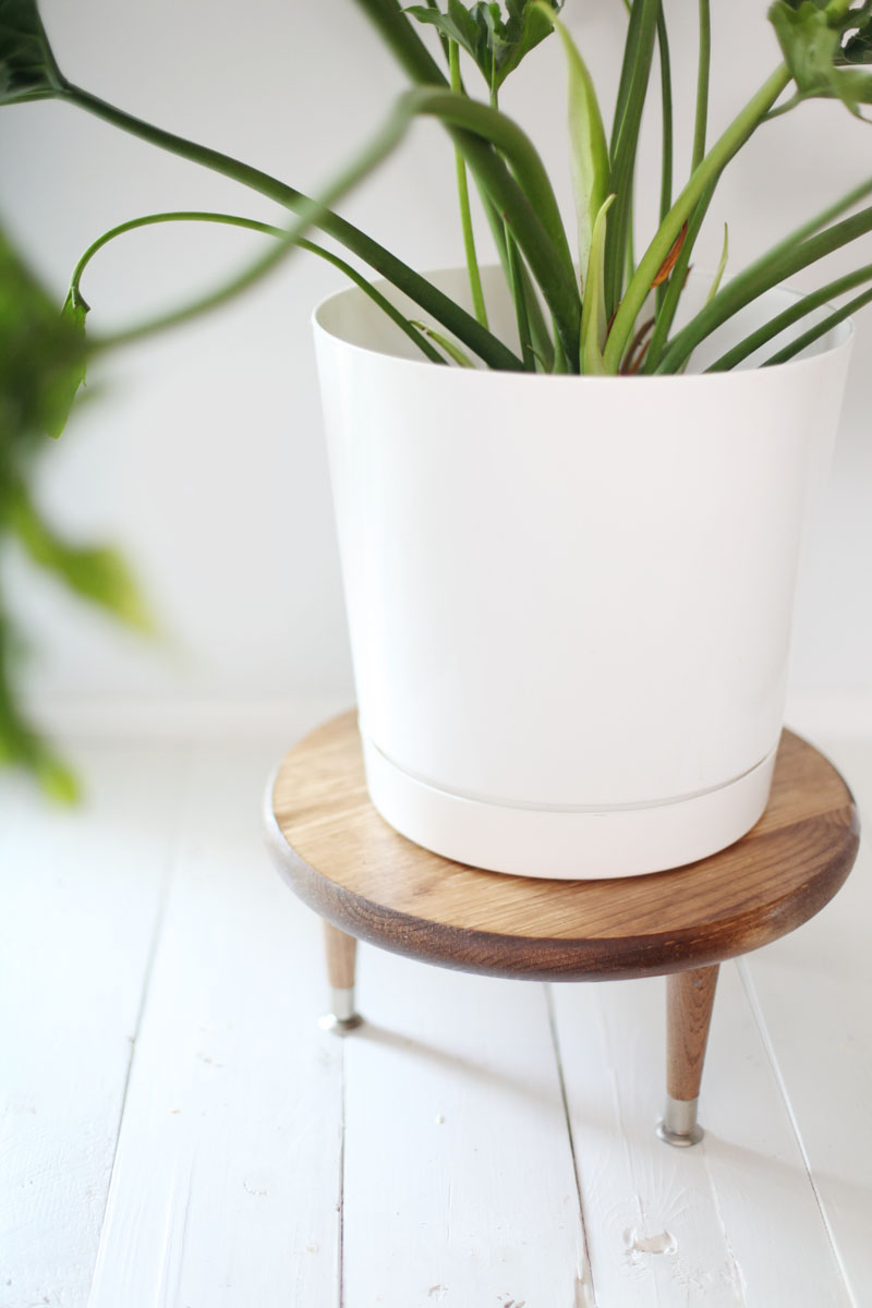 Make this little wooden plant stand to add height to your larger houseplants.