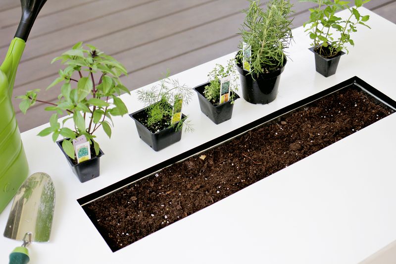 Herb garden coffee table -planting supplies (click for more details)