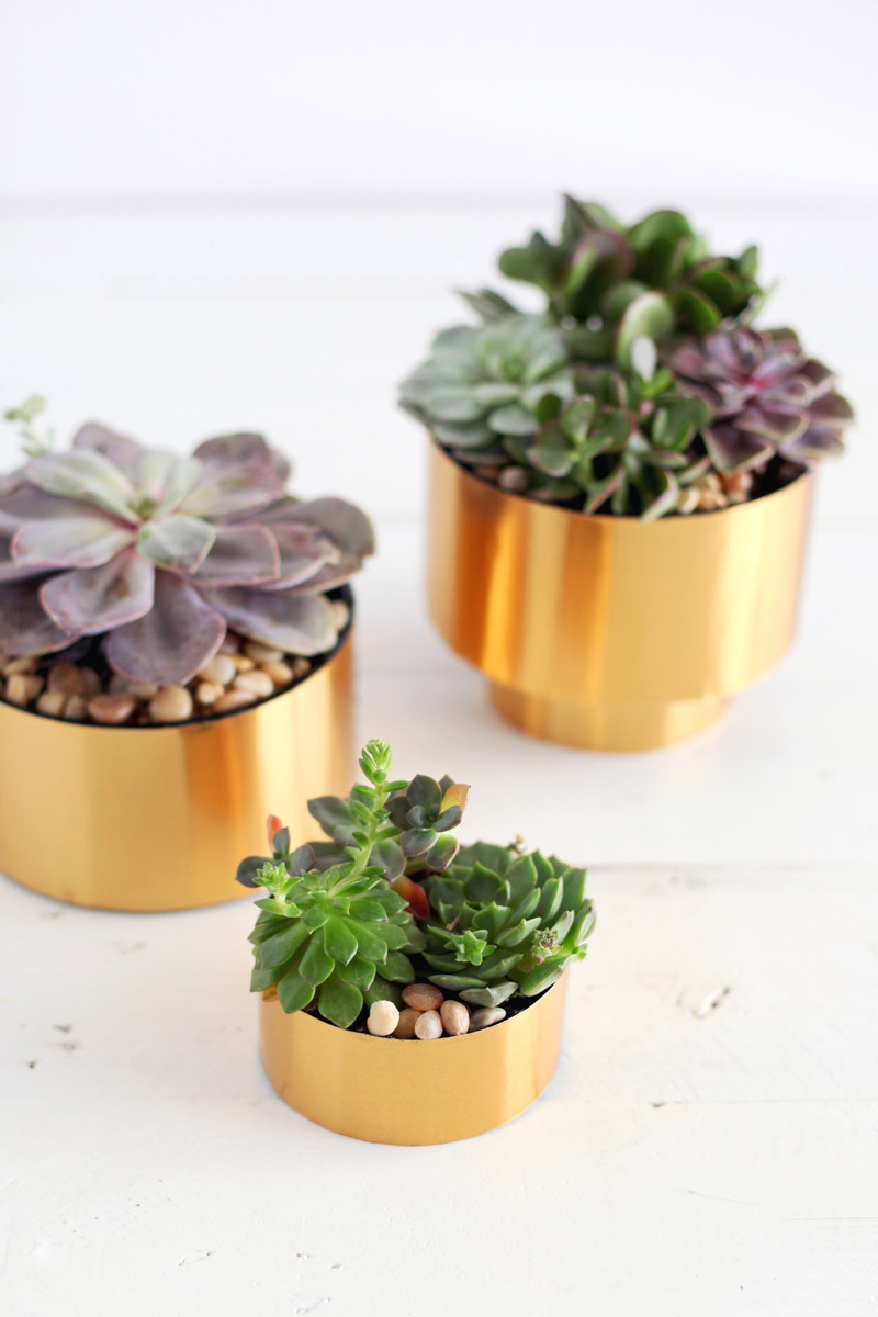 Make this brass succulent planter for just a few dollars! Click through for materials and instructions.