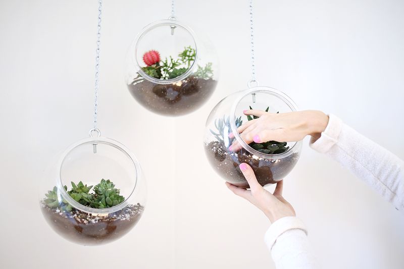 Fishbowl Hanging Planter DIY abeautifulmess.com 