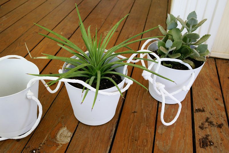 3 Tier Indoor Rope Planter :: potting
